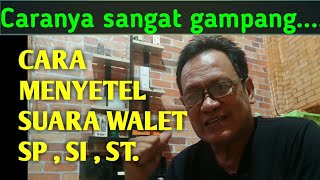 Download lagu CARA MENYETEL SUARA WALET SP,SI DAN ST PADA RBW. mp3