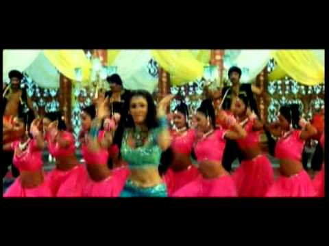 Poster dholi o dholi