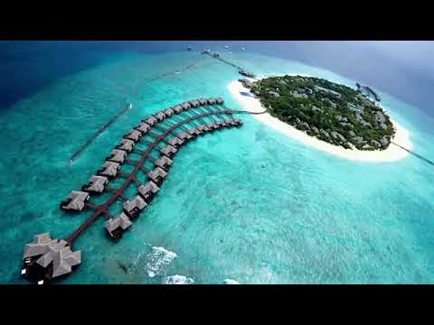 እንድሁ በዋዛ መሞት አለ ወይ MESFIN GUTU OFFICIAL CHANNEL