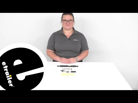 etrailer | DeeZee Tailgate Assist Custom Tailgate-Lowering System for Pickup Trucks Spec Review