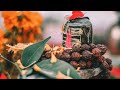 Har Har Mahadev Status Song Bhole Baba Song Video Mahashivratri 2024 Mahadev भोलेनाथ �