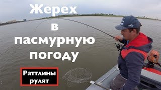 Ловля жереха на ратлины летом