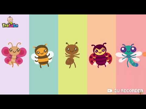 Creditòs BabyRiki Sesame Workshop