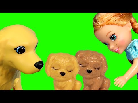 Puppies ! Elsa & Anna toddlers dog at the Pet VET - Sick ? Animal doctor clinic