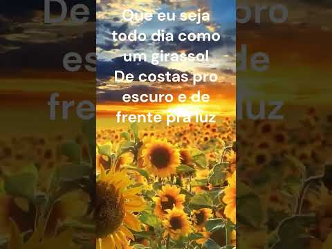 Vídeo: Mensagem Girassol: perguntas e respostas inspiradoras