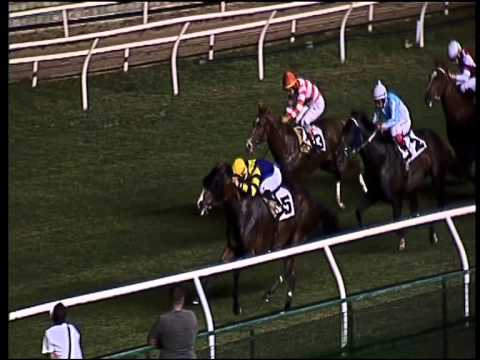 Galoppo 08/07/2015 - 7° corsa