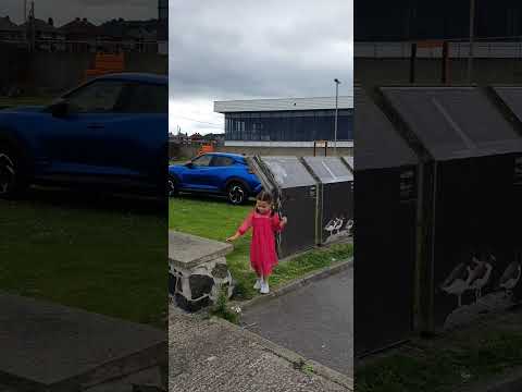 Northern Irelands Worst Beach. it stinks terrible and dogs crap everywhere. you have to see this