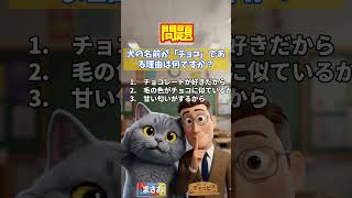 165｜耳から鍛える英語脳！＃TOEICリスニング #中学英語