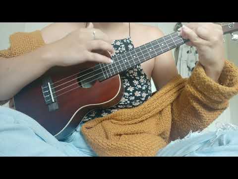 Who Knew Ukulele Cover P!NK