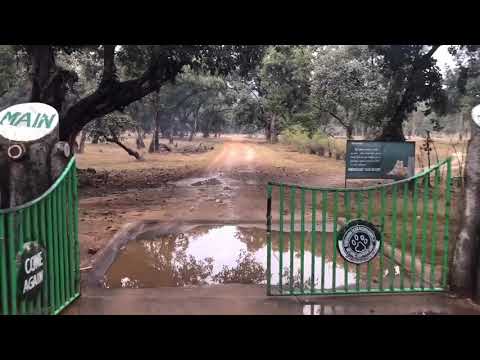Rajasthan Bandhavgarh Wildlife and Royal Bengal Tiger Safari Tour Video