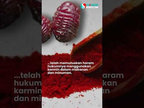 Karmin Halal atau Haram? Ini Penjelasan Resmi dari LPPOM MUI