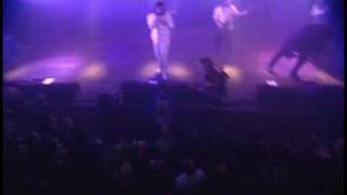 My Dying Bride: Under Your Wings and into Your Arms