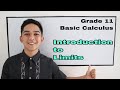 Basic Calculus Defining Illustrating Limits