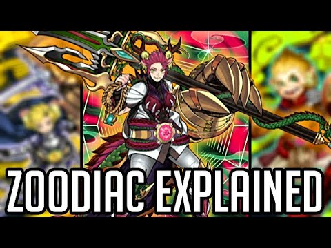 Zoodiac Explained in 25 Minutes [Yu-Gi-Oh! Archetype Analysis]