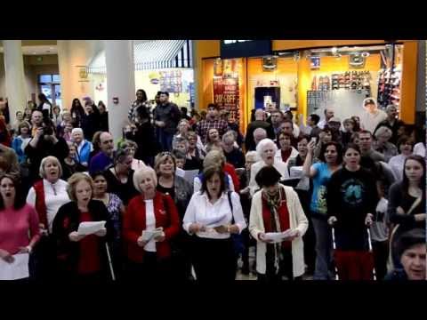 Hallelujah! Flash Mob Choir at Mall at Turtle Creek in Jonesboro, AR 12/8/12