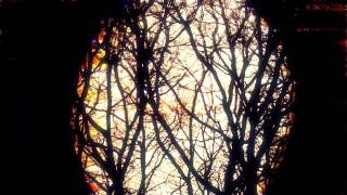 GAS - Zauberberg - Track 5