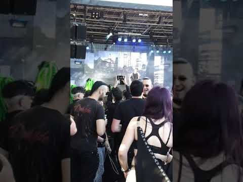 Epinephrin live NonTox in WGT 08.06.2019