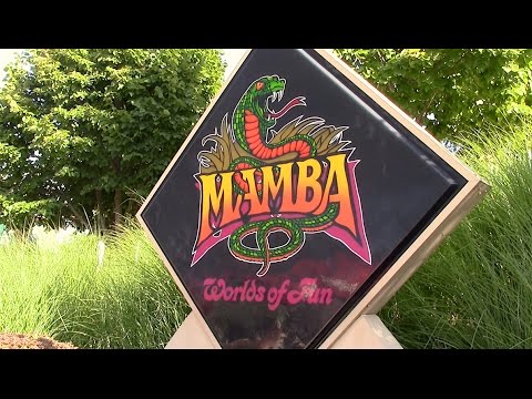 Video review of Mamba by Coaster Studios