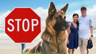 This Could Be Why You're Not Signing Dog Training Clients
