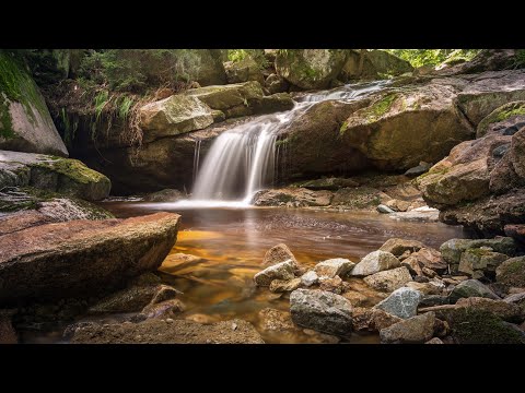 Nature sound with relaxing music|Nature lover|Tempting Flavours by Hannu