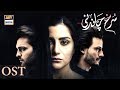 Surkh Chandni OST | Sohai Ali & Osman Khalid | ARY Digital