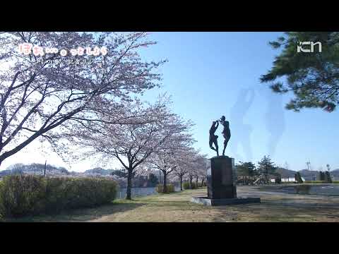 "¡Guau... vámonos!" #158 Ichinoseki Yusui Park Memorial Green Park y los cerezos en flor circundantes