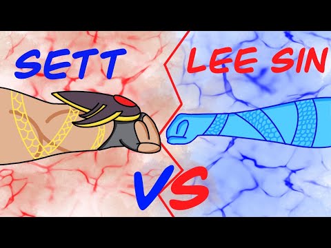 Sett vs Lee Sin