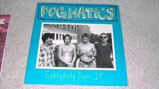 DOGMATICS - drinking by the pool.wmv