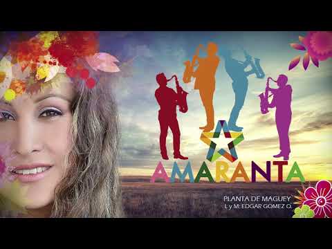Amaranta - Planta de Maguey