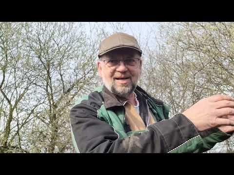 Mehr Maut, mehr CO² Abgabe, weniger einheimische Landwirtschaft - Ist das noch reale Politik?