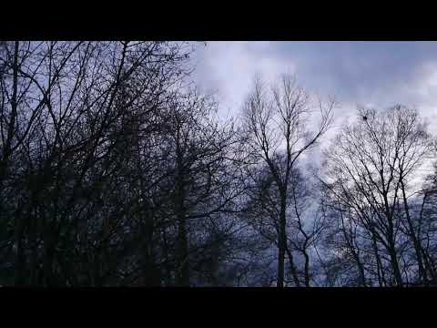 Ein tragendes Netz | Teil 1| Prof. Dr. Bernd Gerken