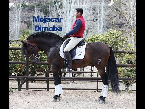 Mojácar Dimoba montado - Abril 2018