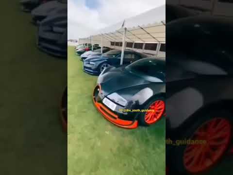 Bugatti collection because royalty means bugatti #bugatti #chiron #sorts #viralvideo #supercar