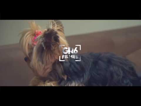 MC Menor da VG e MC Chapô - Virou Alvo (Video Clip