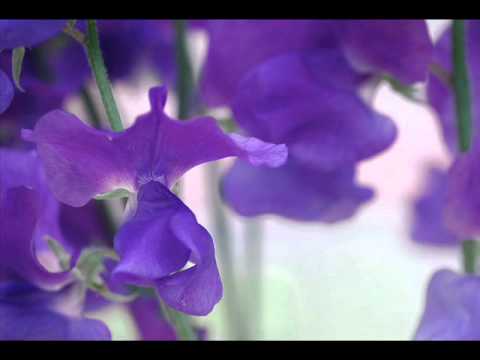 Handel - Amadigi - O rendetemi il mio bene (Dmitry Egorov)