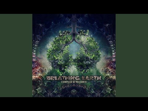 Gravity (Original Mix)