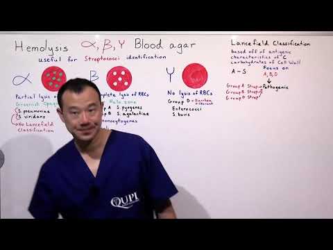 Streptococci Differentiation through use of Hemolysis and Lancefield