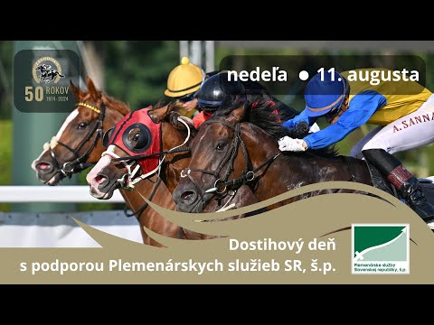 13. dostihový deň v Bratislave - Zlatý bičík, Cena turfu, Cena Whisky