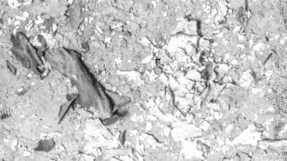 Sunlifter 7&quot; vinyl now available