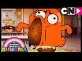 Gumball | Darwin's Potato Diet | The Potato | Cartoon Network