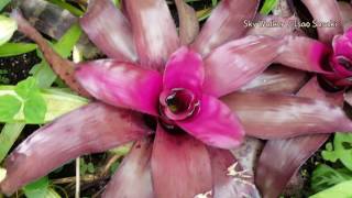 Isao Sasaki 이사오 사사키 best collection 1