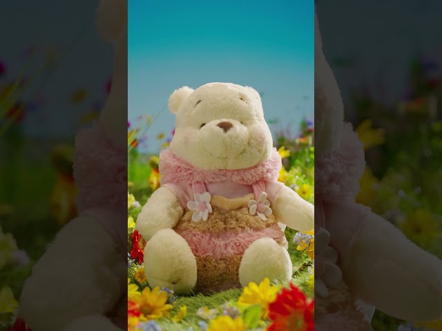 Vídeo relacionado con Winnie the Pooh Honey And Bee Unisex Pañuelo multicolor 100% poliéster