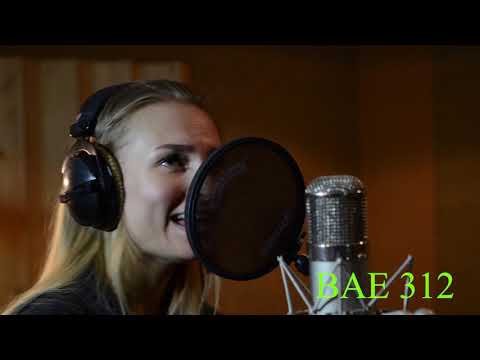 Vintage Neve 1073 vs BAE 312 in ProItems AudioLux 3x500 Lunchbox on Vocal