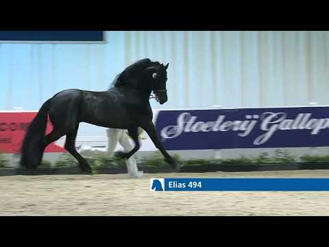 Elias 494 en Martzen 521 gaan door naar de kampioenskeuring