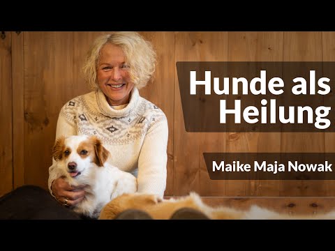 Der Hund als Spiegel des Menschen |  @MajaNowakHeilung   Maike Maja Nowak | Live