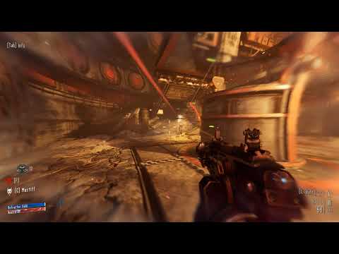 What eversor assassins see