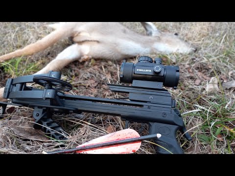 Deer Hunting with a Bat ... Ballista Bat Pistol Crossbow