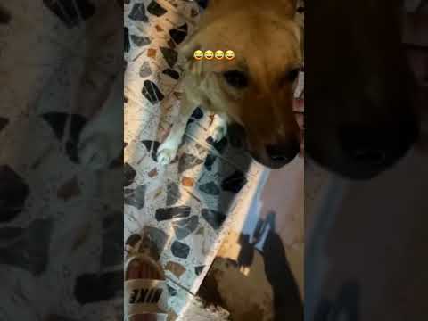 مدري منو يدك بل باب شوف الصدمة