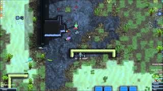 Video 6