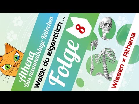 MRI des Schultergelenks in Omsk und Preis Mittel aus dem drückenden Schmerz im Kniegelenk